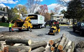 Best Sod Installation  in Ellsworth, ME